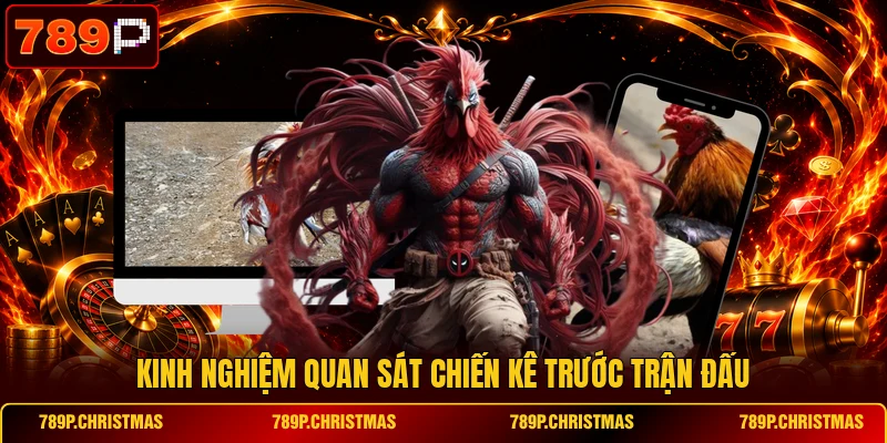 Kinh nghiệm quan sát chiến kê trước trận đấu